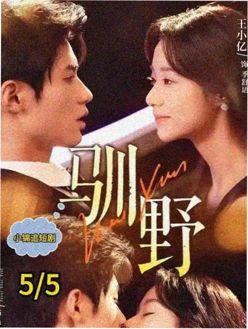 91一区视频 剧集归途列车封面